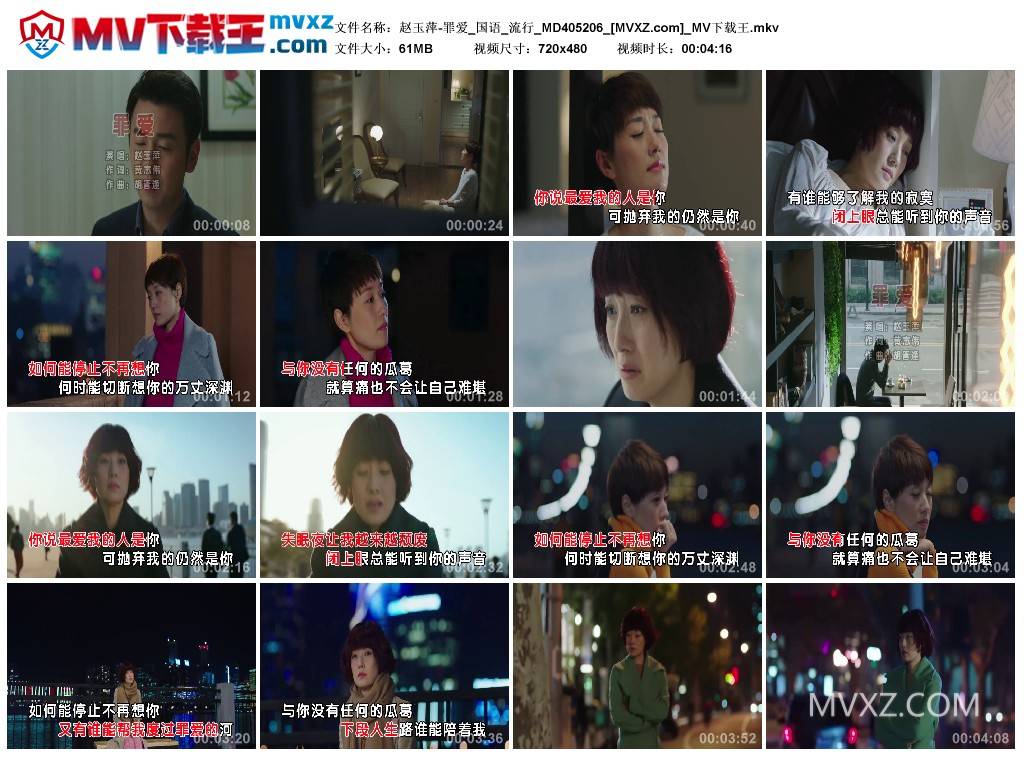赵玉萍-罪爱_国语_流行_MD405206